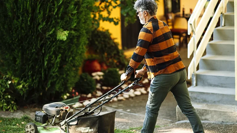 Winter & Spring Lawn Care Guide for Perth: Couch, Kikuyu & Buffalo