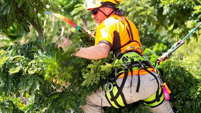 Armadale & Southern Suburbs Tree Pruning & Removal Guide 2026